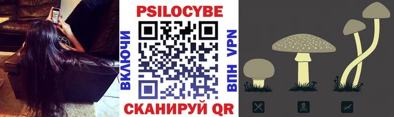 Псилоцибиновые грибы прущие грибы  Купить где  Октябрьск 